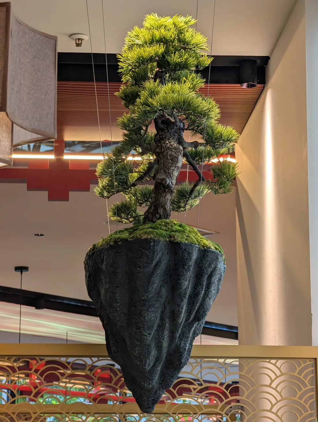 Schwebender Bonsai und goldene Details im Yanova